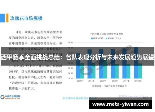 西甲赛季全面挑战总结：各队表现分析与未来发展趋势展望