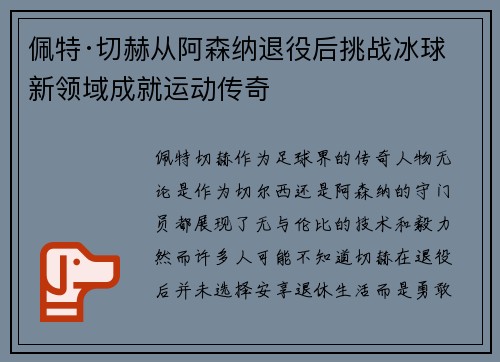 佩特·切赫从阿森纳退役后挑战冰球新领域成就运动传奇